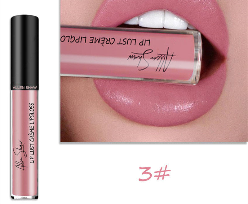 Silky Cream Texture Lip Gloss AliExpress Shopee Cross-Border Exclusive Lip Glaze Lip Gloss Lipstick Silky Cream Texture Lip Gloss AliExpress Shopee Cross-Border Exclusive Lip Glaze Lip Gloss Lipstick